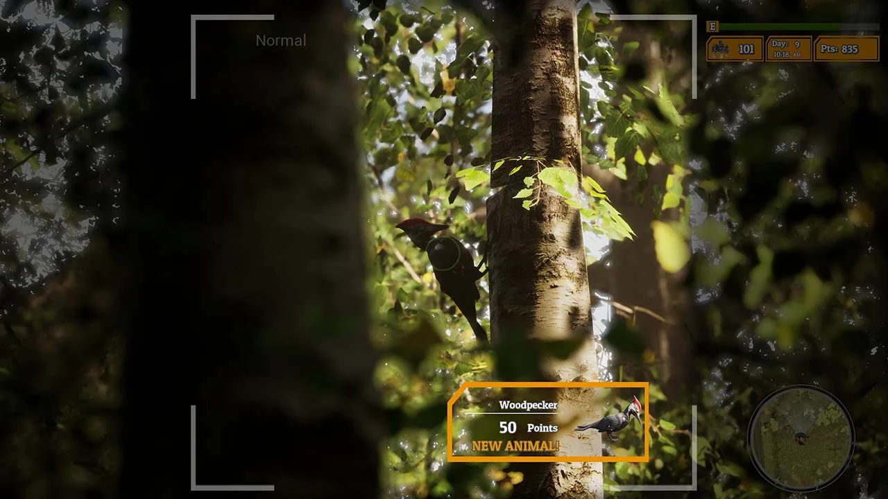 Morels The Hunt 2 Gameplay Image - Gamespctorrent.com