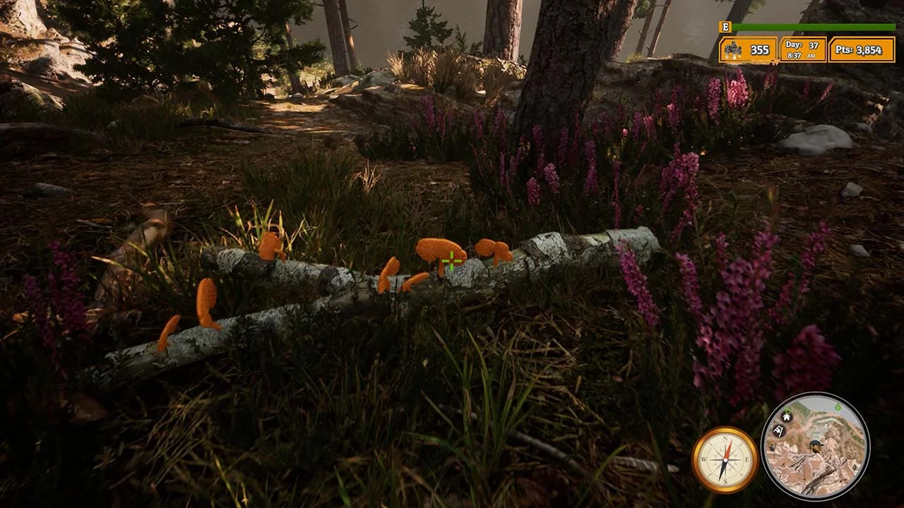 Morels The Hunt 2 Gameplay Image - Gamespctorrent.com