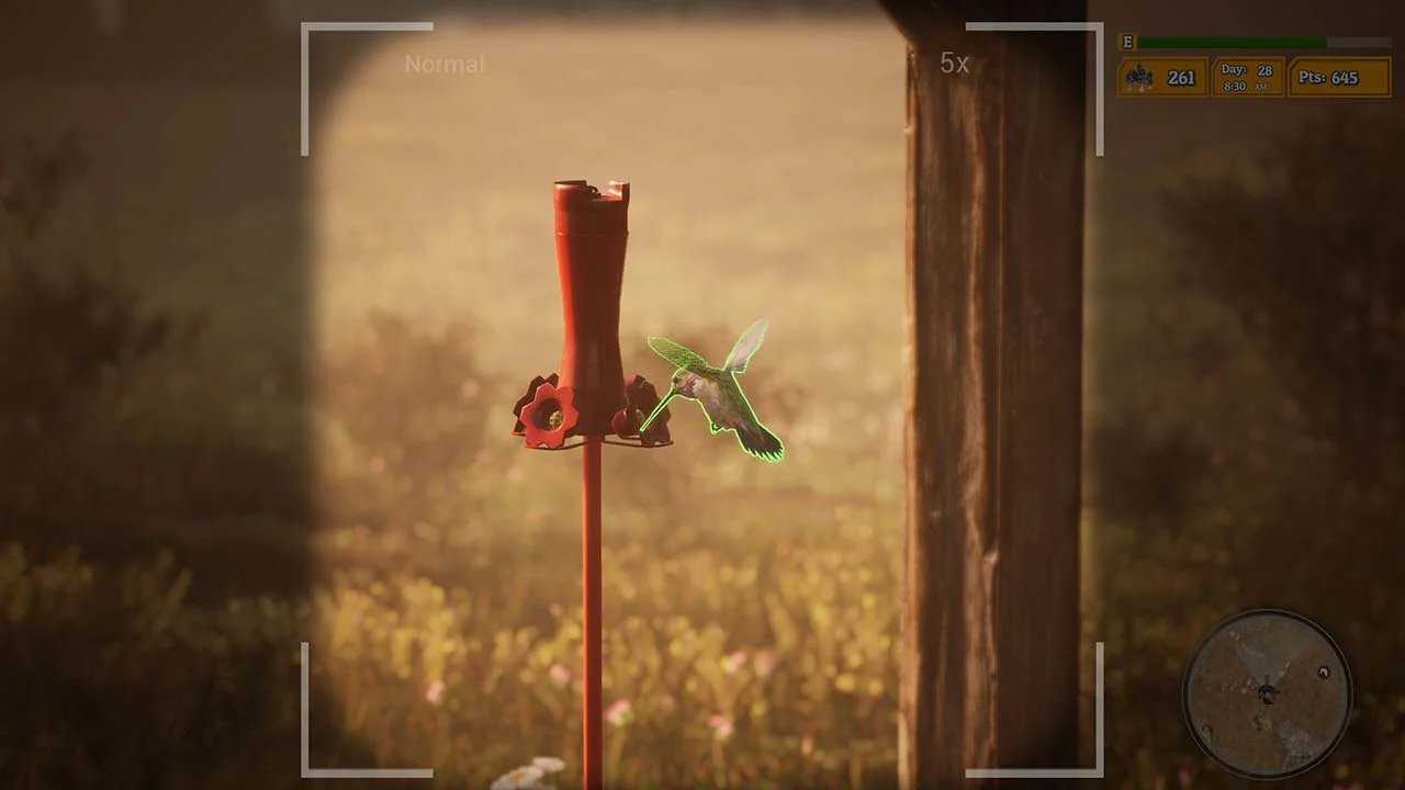 Morels The Hunt 2 Gameplay Image - Gamespctorrent.com